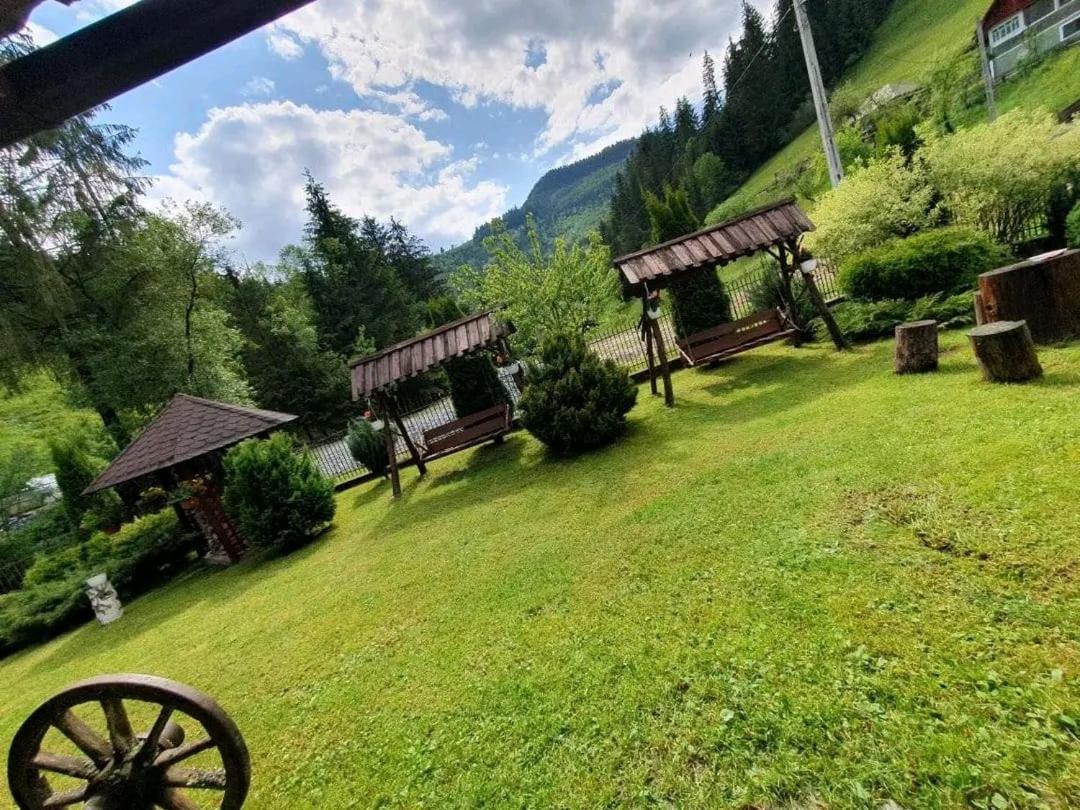 Pensiunea Cla Albac Buitenkant foto