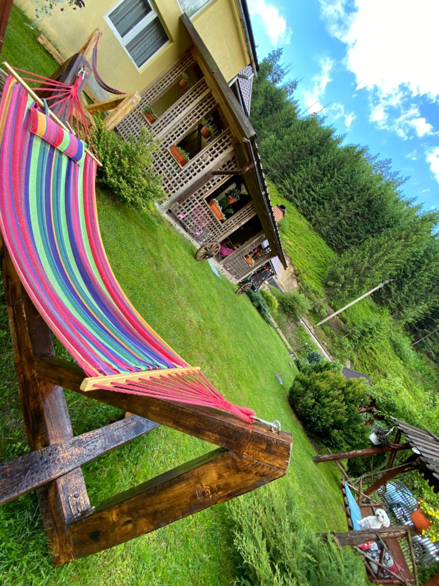 Pensiunea Cla Albac Buitenkant foto