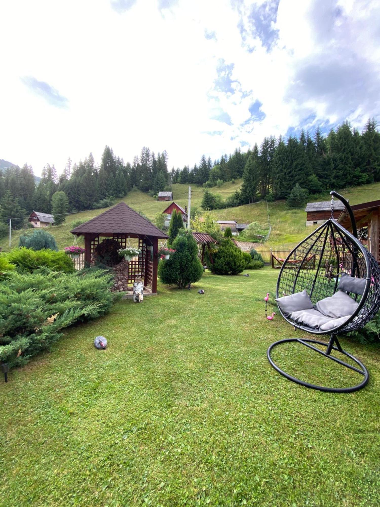 Pensiunea Cla Albac Buitenkant foto